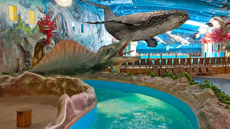 В аквапарке в Киеве погиб четырехлетний мальчик В аквапарке в Киеве погиб четырехлетний мальчик