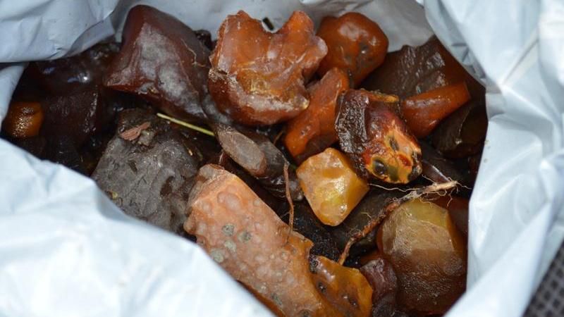 Прикордонники за допомогою малої авіації знайшли нову "бурштинову республіку" Прикордонники за допомогою малої авіації знайшли нову "бурштинову республіку"