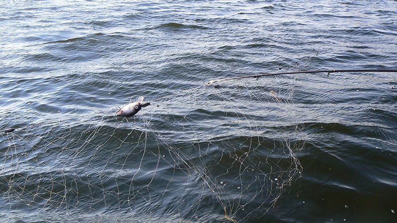 Рибалки на Донбасі намагалися втопити російських військових Рибалки на Донбасі намагалися втопити російських військових