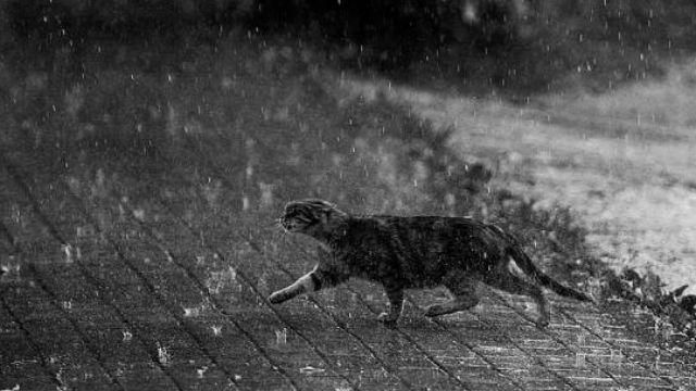 Весна затримується. Завтра в Україні дощі і мокрий сніг Весна затримується. Завтра в Україні дощі і мокрий сніг