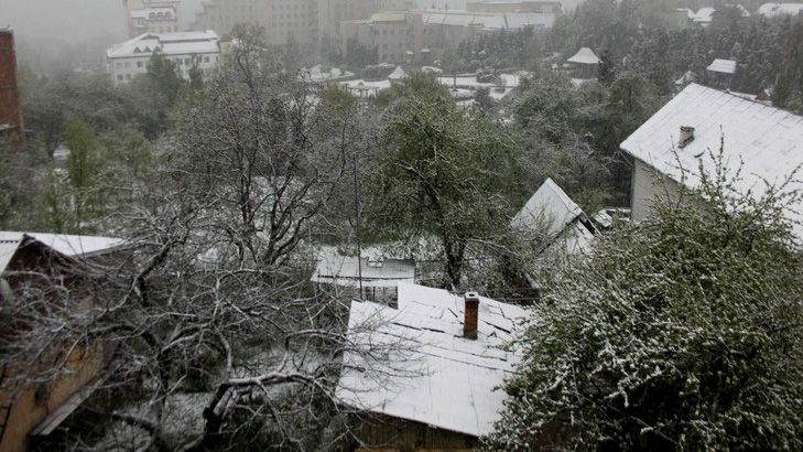 Аномальна весна: на Львівщині випав сніг