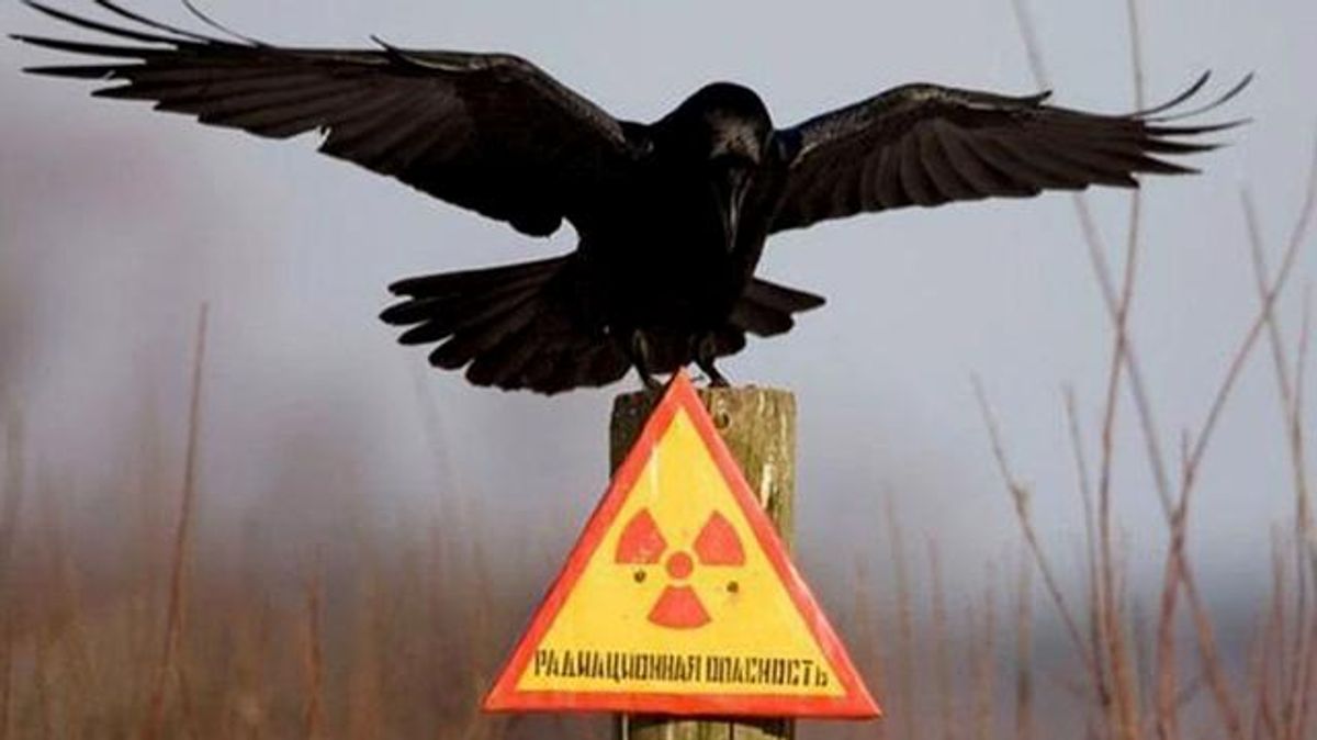 Как киевские врачи спасали людей после страшной катастрофы на ЧАЭС