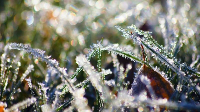 Весна удивляет: синоптики обещают заморозки и сильные грозы