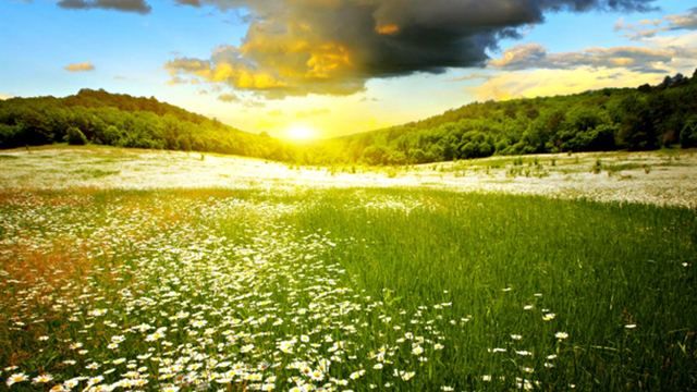 Синоптики обещают украинцам теплые праздники Синоптики обещают украинцам теплые праздники