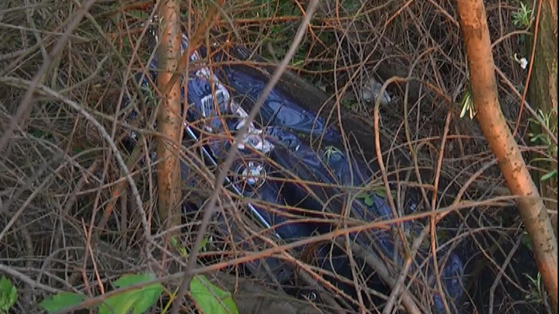 Двоє людей загинули у страшній аварії у Львові
Двоє людей загинули у страшній аварії у Львові