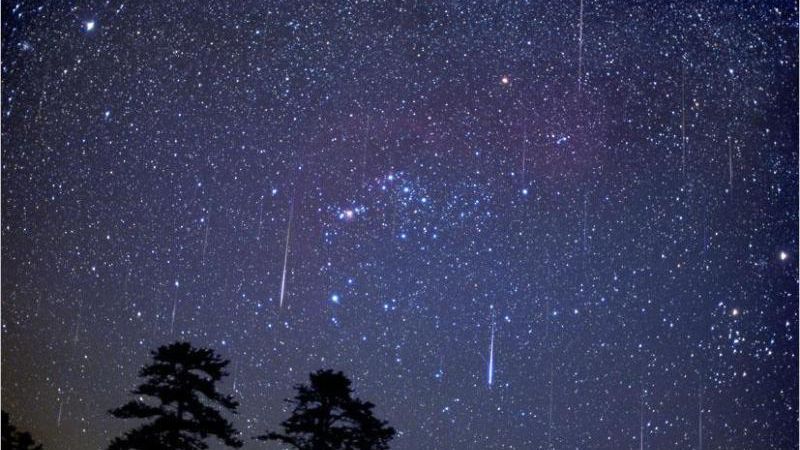 Сегодня над Землей пройдет яркий звездный дождь Сегодня над Землей пройдет яркий звездный дождь