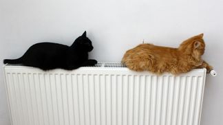 Головне за день: тепло подорожчає, Вілкула покропили зеленкою