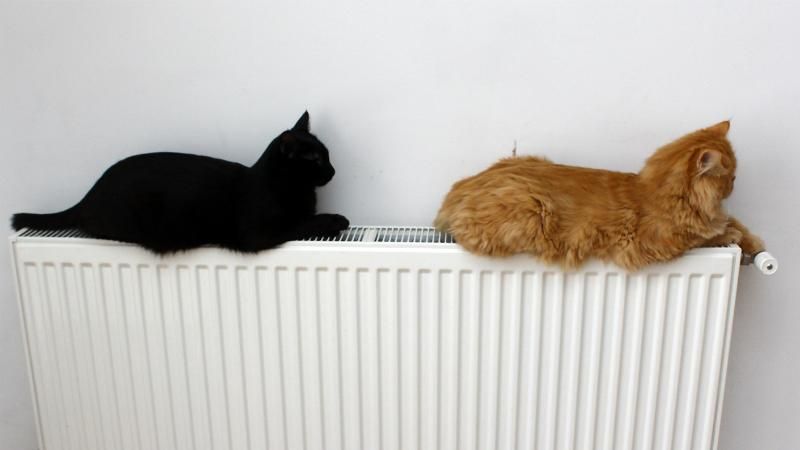 Главное за день: тепло подорожает, Вилкула окропили зеленкой Главное за день: тепло подорожает, Вилкула окропили зеленкой