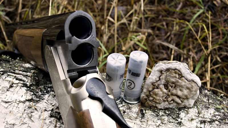 Кримінальний Київ: скільки зброї у киян та як можна запобігти злочинам Кримінальний Київ: скільки зброї у киян та як можна запобігти злочинам