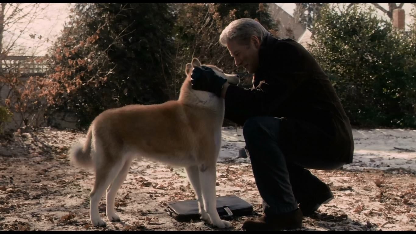 Фільм дня. "Хатіко: Вірний друг" – неймовірно зворушлива історія про вірного собаку