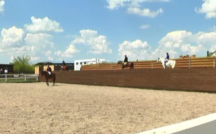 Харьковчане взялись за возрождение конного спорта