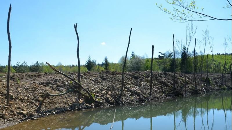 Нефтяники уничтожили лес и реку: появились фото