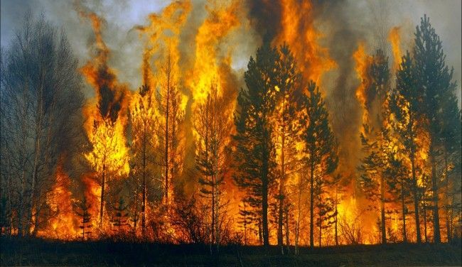 Россия в огне: горят огромные территории