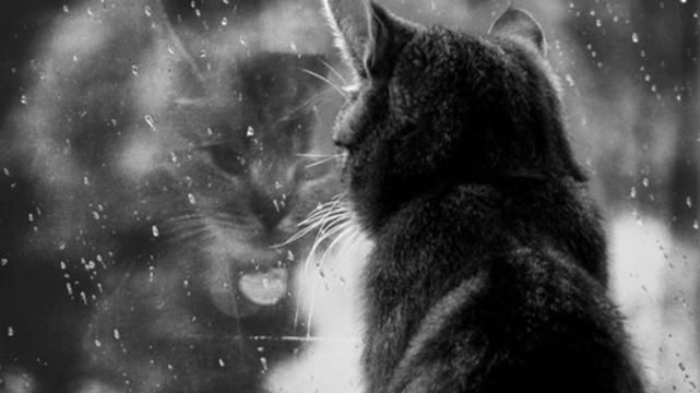 В понедельник в Украине дальше будет идти дождь В понедельник в Украине дальше будет идти дождь