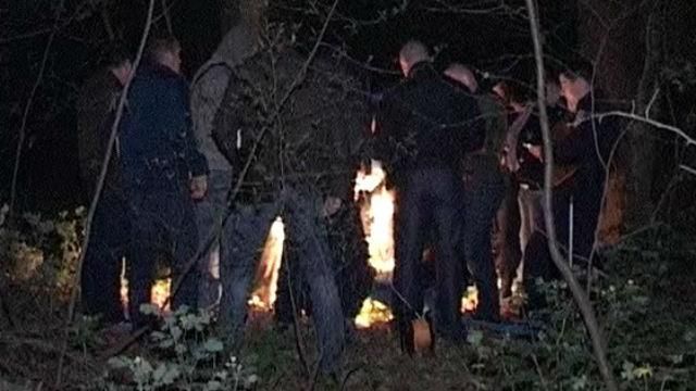 Звірське вбивство у Києві. Вбивця розкидав розчленоване тіло жінки по лісу Звірське вбивство у Києві. Вбивця розкидав розчленоване тіло жінки по лісу