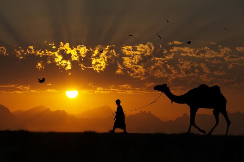 Вчені: Африка та Близький Схід скоро будуть непридатними для життя Вчені: Африка та Близький Схід скоро будуть непридатними для життя