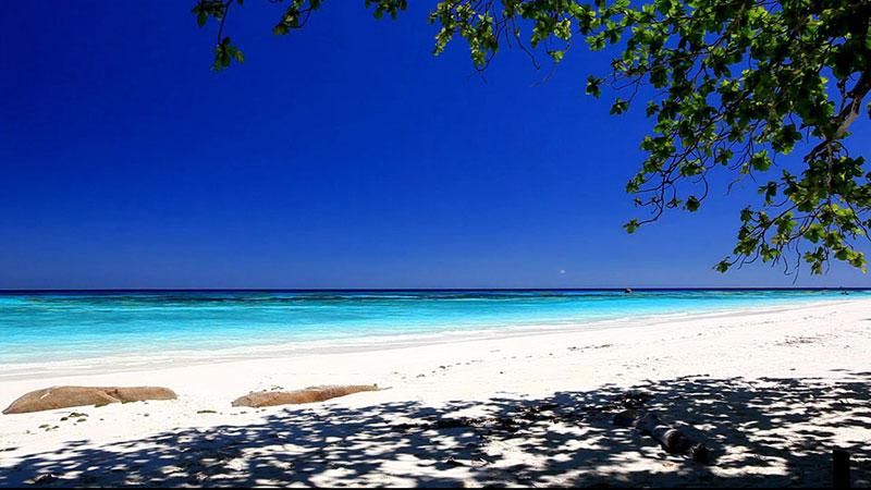 Таїланд закриває для туристів один з популярних островів Таїланд закриває для туристів один з популярних островів