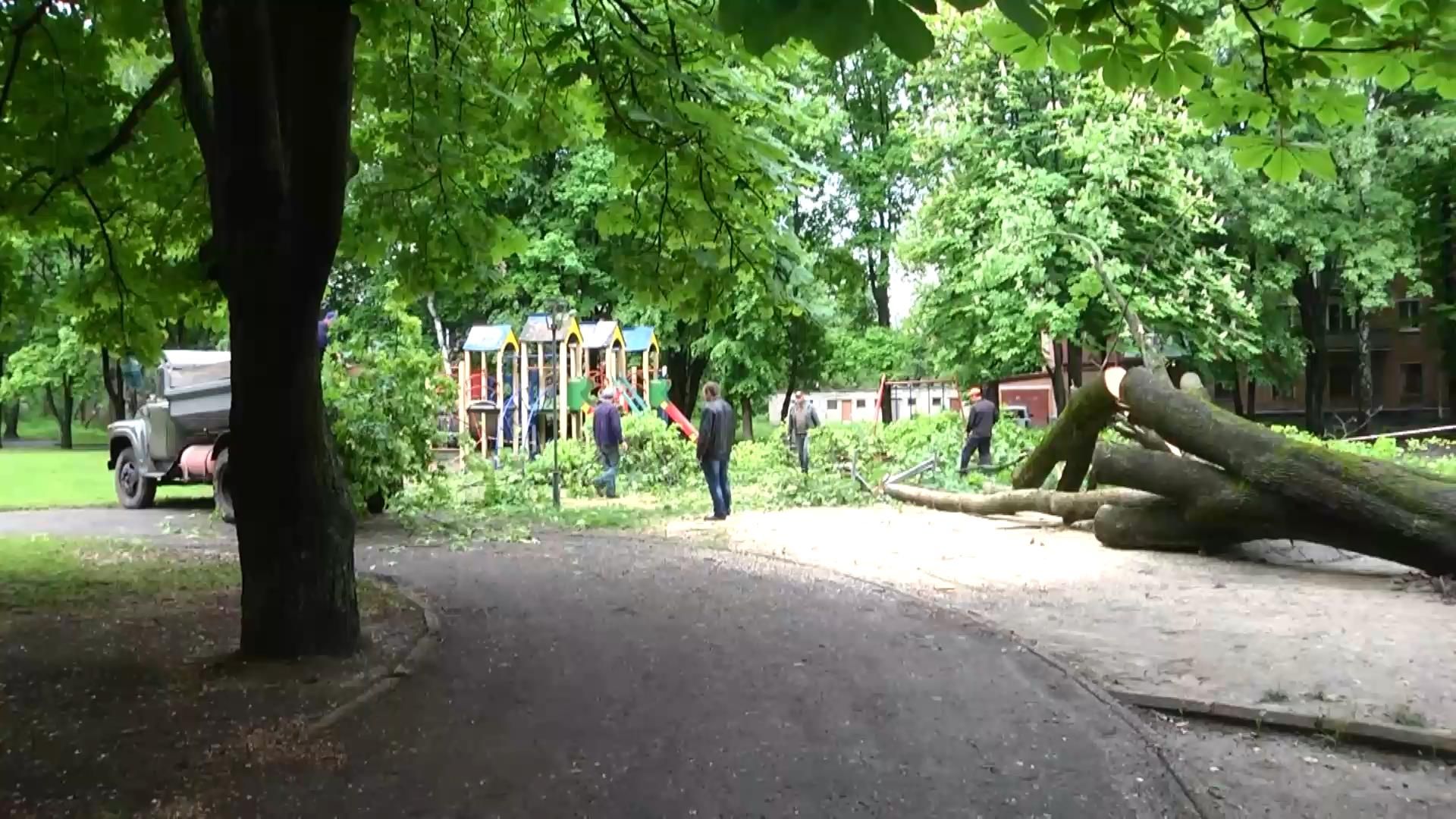 Гроза наламала дров у Сумах Гроза наламала дров у Сумах