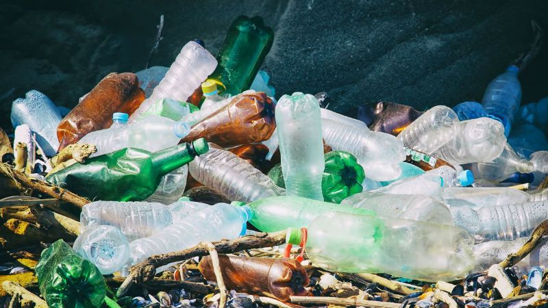 В Канаде нашли бактерию, которая разъедает пластик