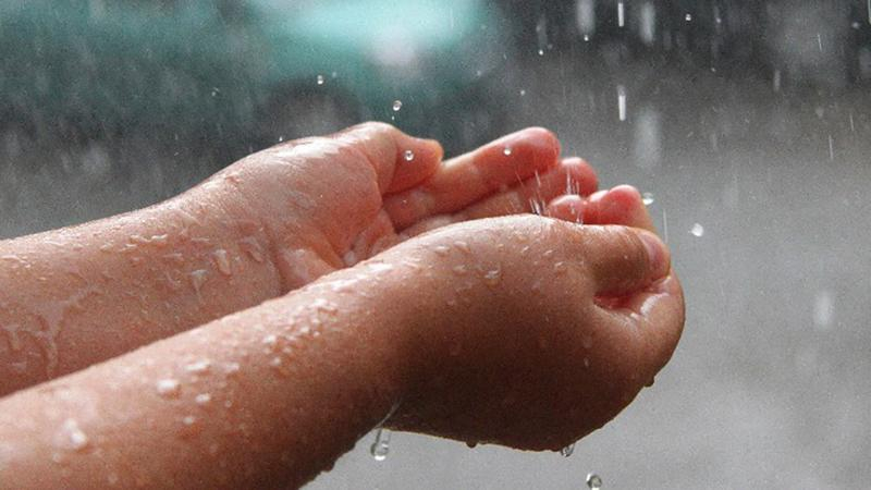 Тепло и дождь: с какой погоды начнется неделя