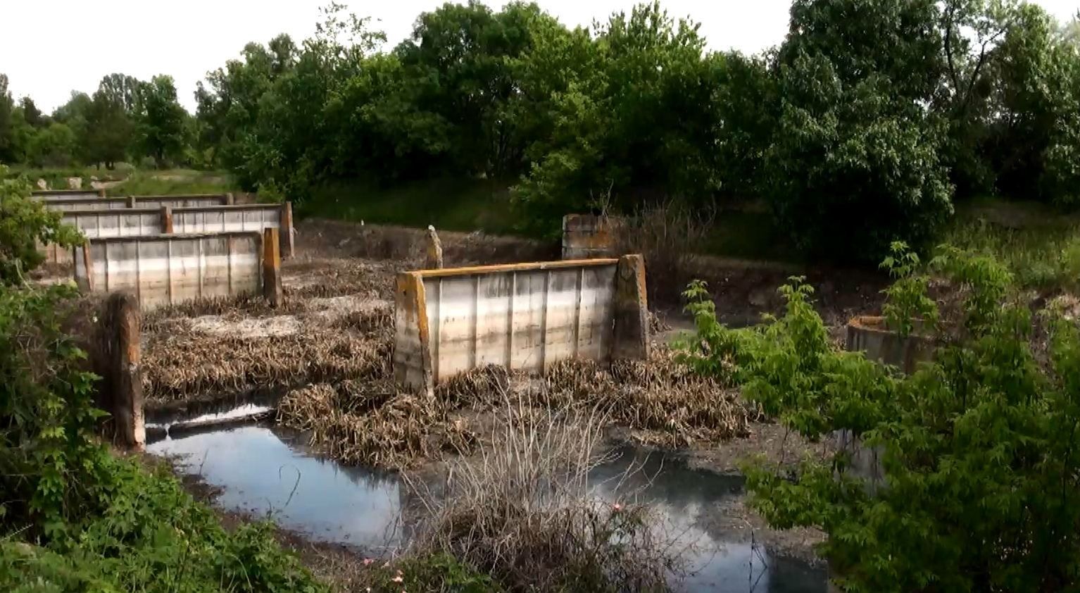 Зловонная беда: в Черкасской области произошла экологическая катастрофа Зловонная беда: в Черкасской области произошла экологическая катастрофа