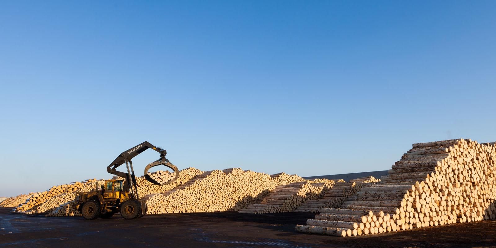 Австрийская компания Holzindustrie Schweighofer создает систему предотвращения вырубки леса Австрийская компания Holzindustrie Schweighofer создает систему предотвращения вырубки леса