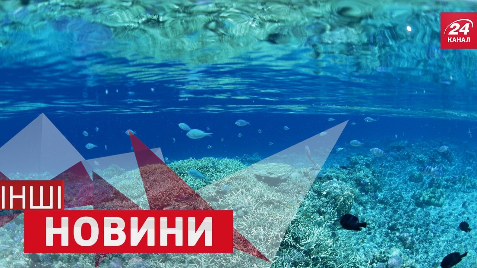 ІНШІ новини. Як звучить музика під водою. Тварини, які полюбляють ванну