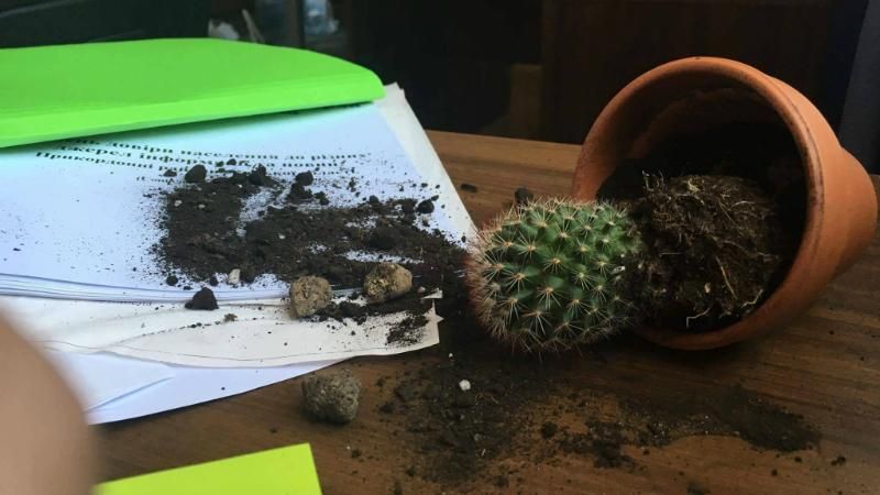 Обыски в администрации Саакашвили: появились фото последствий Обыски в администрации Саакашвили: появились фото последствий