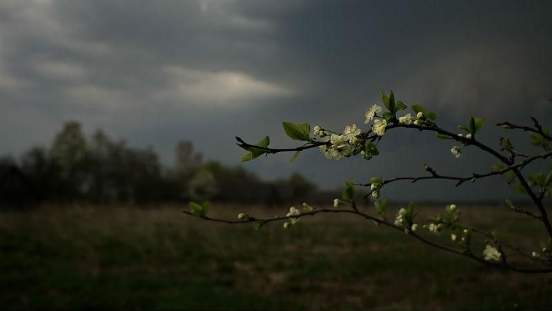 Сильні грози та град: синоптики попереджають про погіршення погоди Сильні грози та град: синоптики попереджають про погіршення погоди
