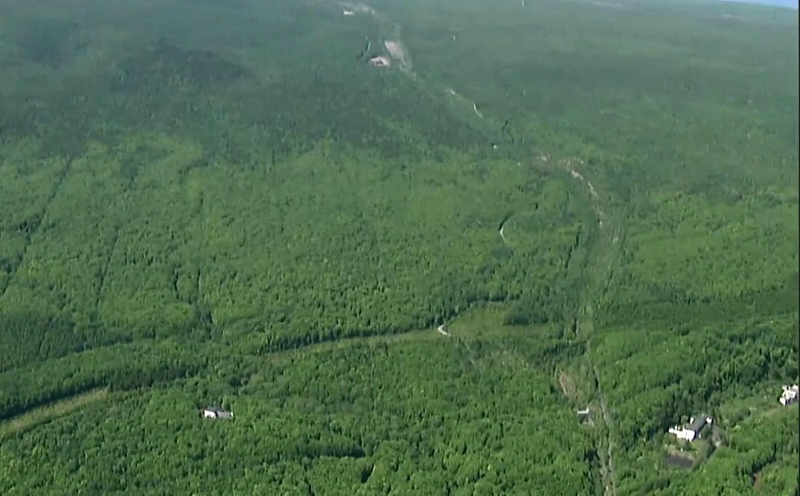 Покарання по-японськи: батьки залишили неслухняного сина у лісі