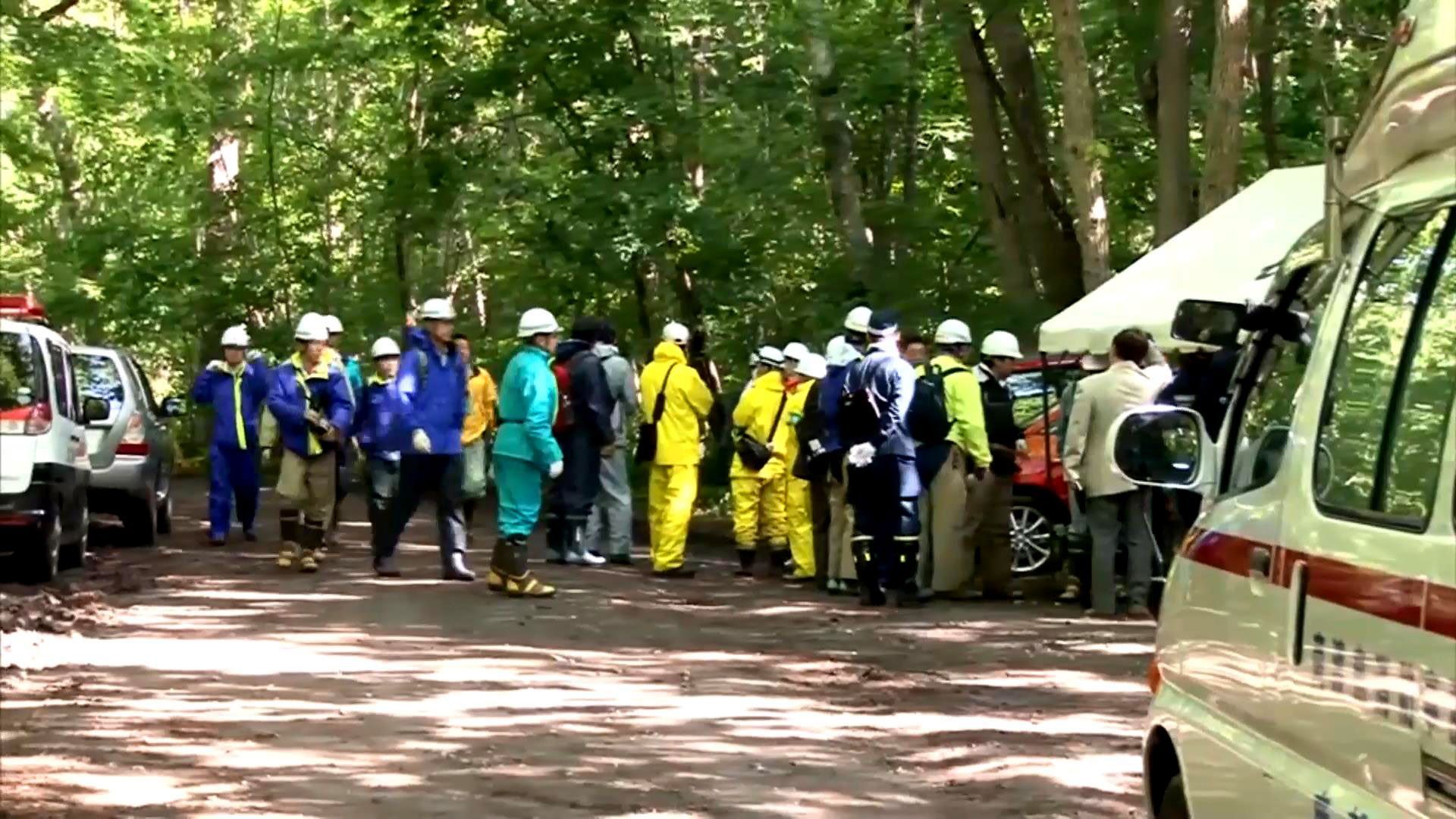 Батьки залишили у лісі дитину, щоб покарати: пошуки тривають п’яту добу