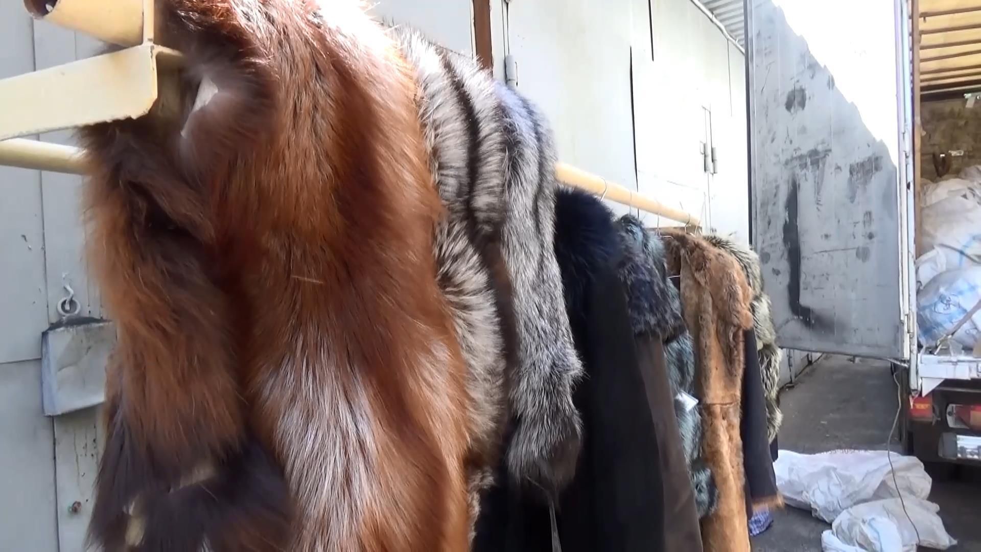 На Сумщині затримали "хутряну" контрабанду На Сумщині затримали "хутряну" контрабанду