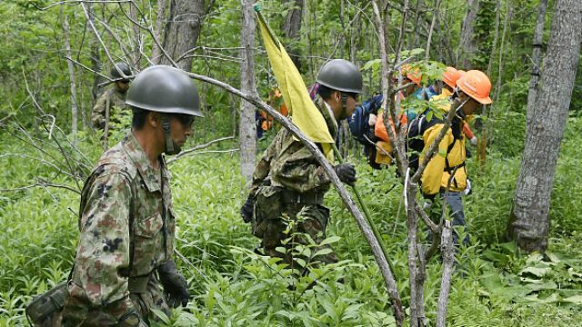 Стала відома доля хлопчика, якого батьки залишили в лісі, щоб покарати Стала відома доля хлопчика, якого батьки залишили в лісі, щоб покарати