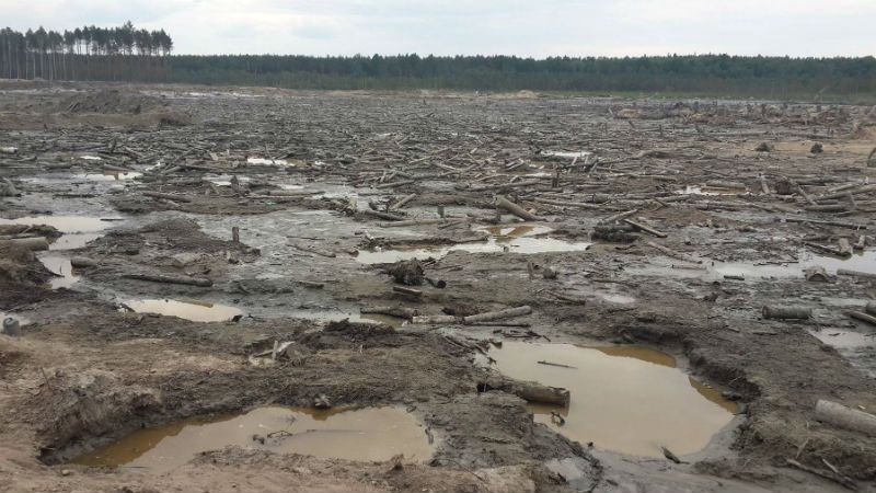 Поблизу бурштинової плантації сталася перестрілка: є поранені