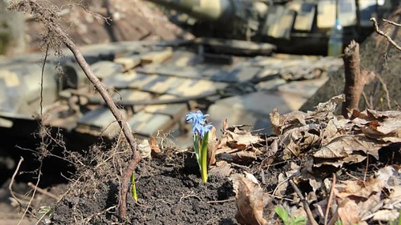 Восьмеро військових отримали поранення у боях на Донеччині Восьмеро військових отримали поранення у боях на Донеччині