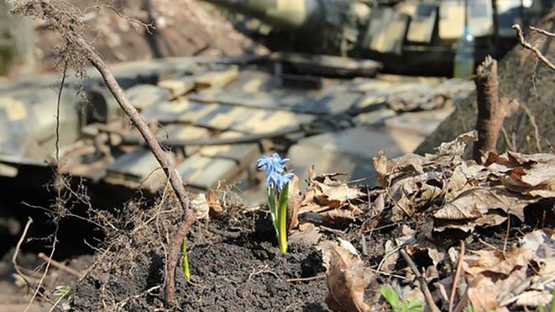 Восемь военных получили ранения в боях в Донецкой области