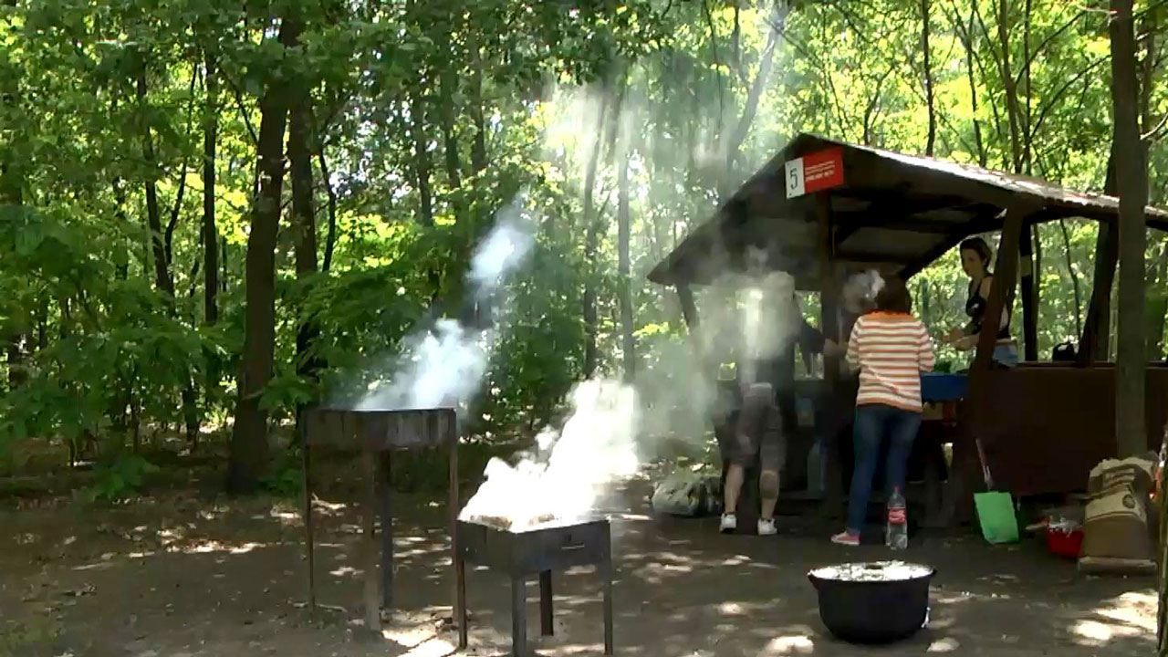 Киян штрафуватимуть на кругленькі суми за викидання сміття повз урни Киян штрафуватимуть на кругленькі суми за викидання сміття повз урни