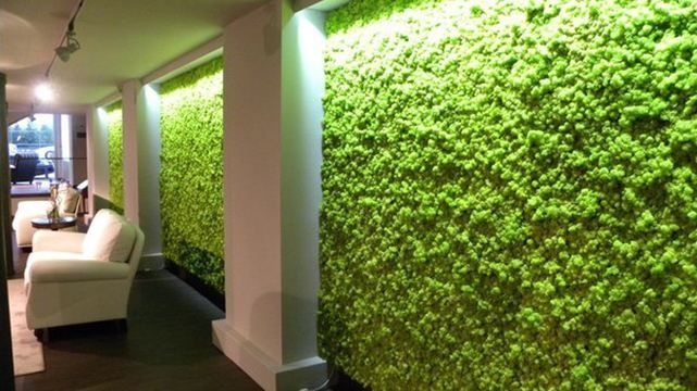 В Україні набувають популярності "живі" шпалери В Україні набувають популярності "живі" шпалери