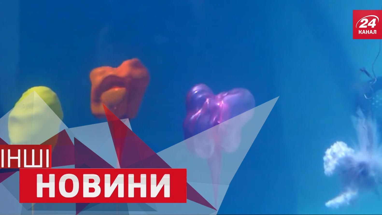 ДРУГИЕ новости. Где лучше прятаться от взрыва гранаты. Расческа для котика ДРУГИЕ новости. Где лучше прятаться от взрыва гранаты. Расческа для котика