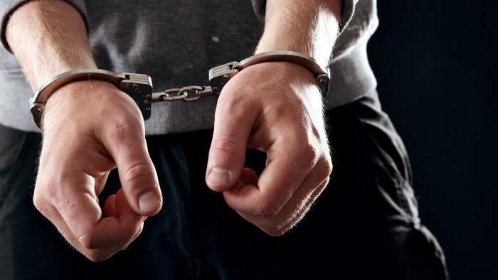 Серійних злодіїв спіймали на гарячому на Київщині Серійних злодіїв спіймали на гарячому на Київщині