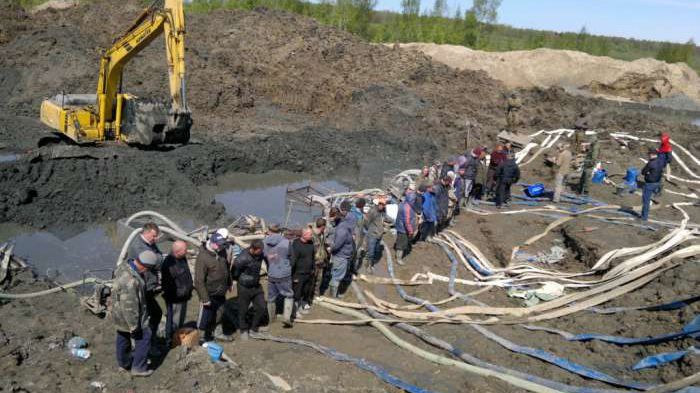 Нелегальний видобуток бурштину — тест для українського уряду, — The Wall Street Journal Нелегальний видобуток бурштину — тест для українського уряду, — The Wall Street Journal