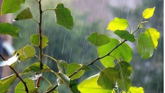 Українців попередили про різке похолодання Українців попередили про різке похолодання