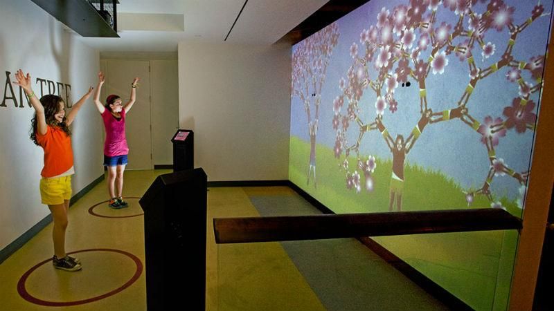 Удивительный музей, где можно почувствовать себя деревом и оседлать квадратный велосипед Удивительный музей, где можно почувствовать себя деревом и оседлать квадратный велосипед