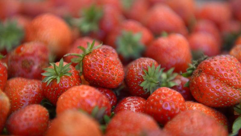 Полуницю в окупованому Криму продають за скаженими цінами Полуницю в окупованому Криму продають за скаженими цінами