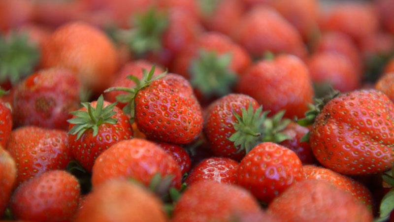 Клубнику в оккупированном Крыму продают по бешеным ценам