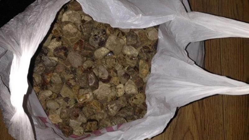 Підпільний цех з обробки бурштину виявили на Волині Підпільний цех з обробки бурштину виявили на Волині