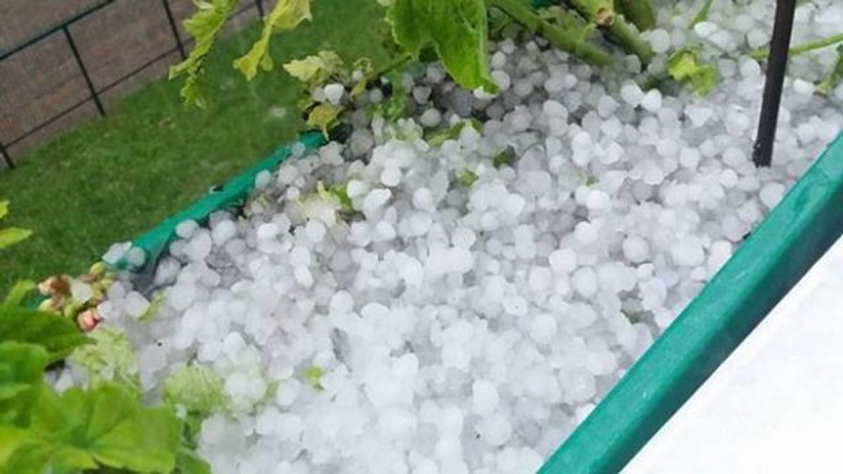 Град розміром з горіх: з’явились вражаючі фото стихії у Луцьку Град розміром з горіх: з’явились вражаючі фото стихії у Луцьку