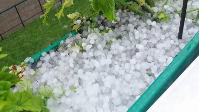 Град размером с орех: появились впечатляющие фото стихии в Луцке Град размером с орех: появились впечатляющие фото стихии в Луцке