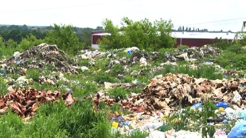 Не Львовом єдиним: околиці Харкова потопають в небезпечному смітті