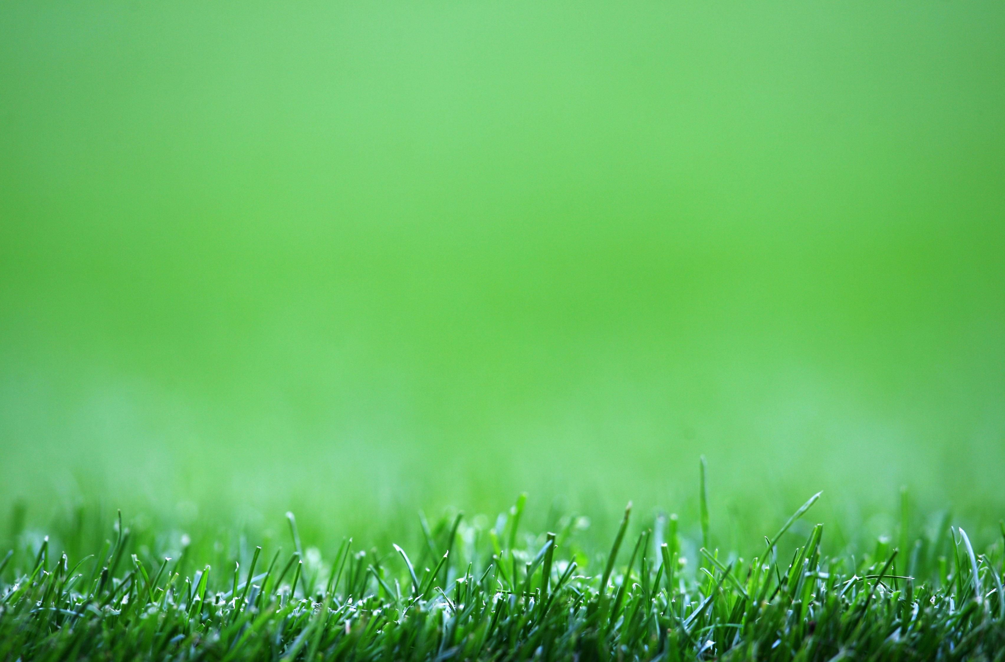 Цього тижня в Україну нарешті прийде справжнє літо Цього тижня в Україну нарешті прийде справжнє літо